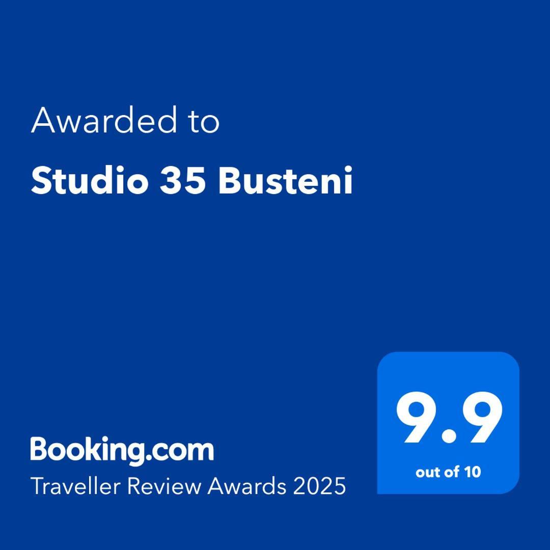 Studio 35 Buşteni エクステリア 写真